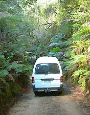 Support vehicle of Green Island  Tours in  rainforest of the Westcoast of Tasasmania