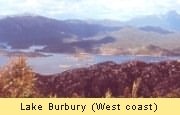 Lake Burbury at the West Coast of Tasmania.