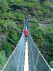Suspensions bridge at the Montezuma Falls, West Coast of Tasmania.